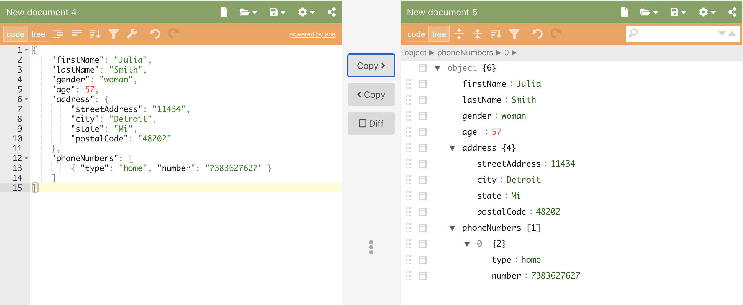 An image of the JSON file showing the structure