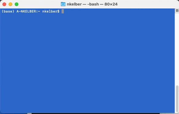 Typing ls into terminal